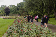 WendysWalk_222_20150627 72dpi no tag