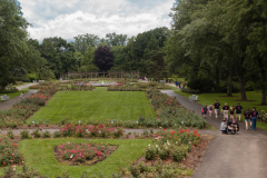 WendysWalk_227_20150627 72dpi no tag