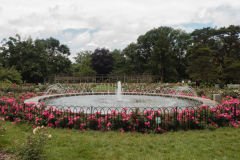 WendysWalk_249_20150627 72dpi no tag