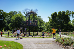 Wendys Walk_165_20160625 72dpi