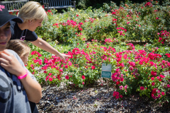 Wendys Walk_181_20160625 72dpi