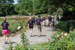 Wendys Walk_182_20160625 72dpi