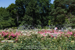 Wendys Walk_186_20160625 72dpi