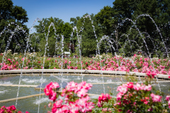 Wendys Walk_188_20160625 72dpi