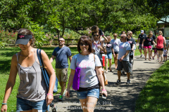 Wendys Walk_190_20160625 72dpi