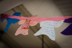 Wendys Walk_020_20220625 Web 72dpi