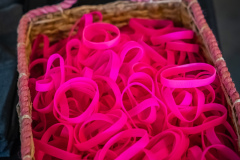 Wendys Walk_6015_20240622 Web 72dpi